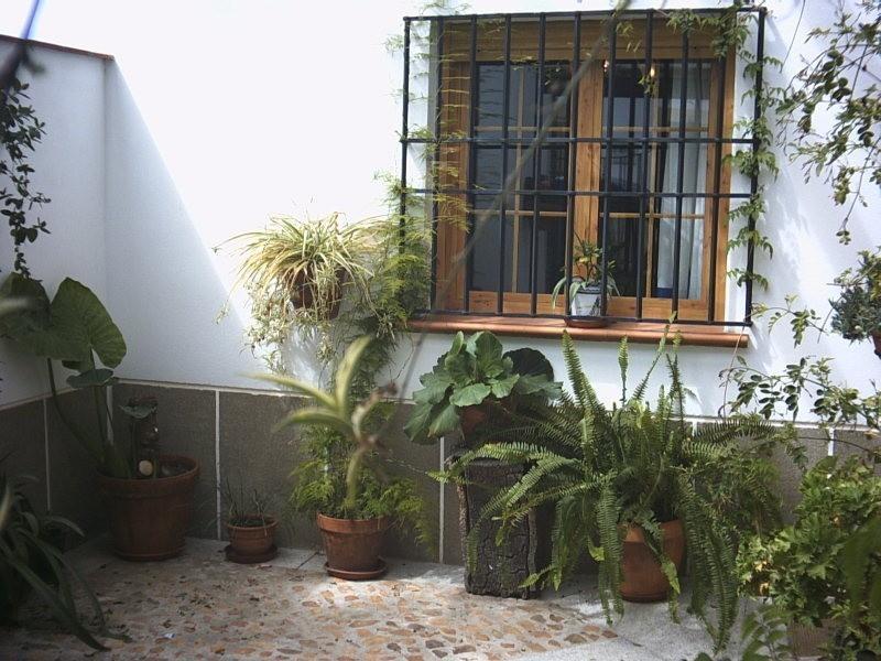 Casa Rural La Brena Talavan Exterior photo